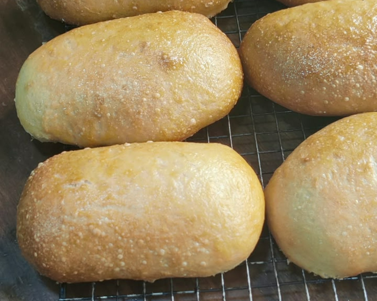 Panini Sandwich Bread