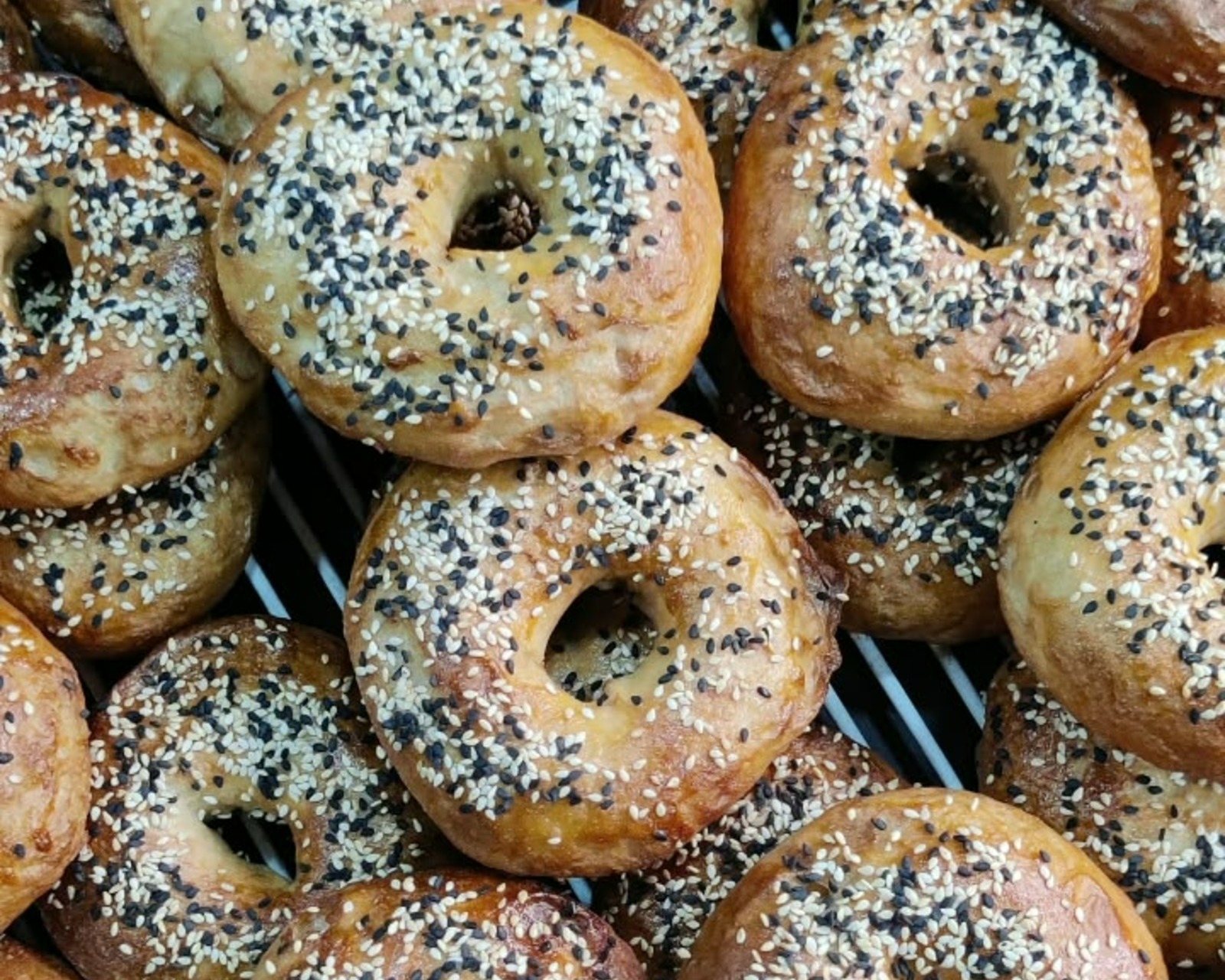 Sesame Bagels