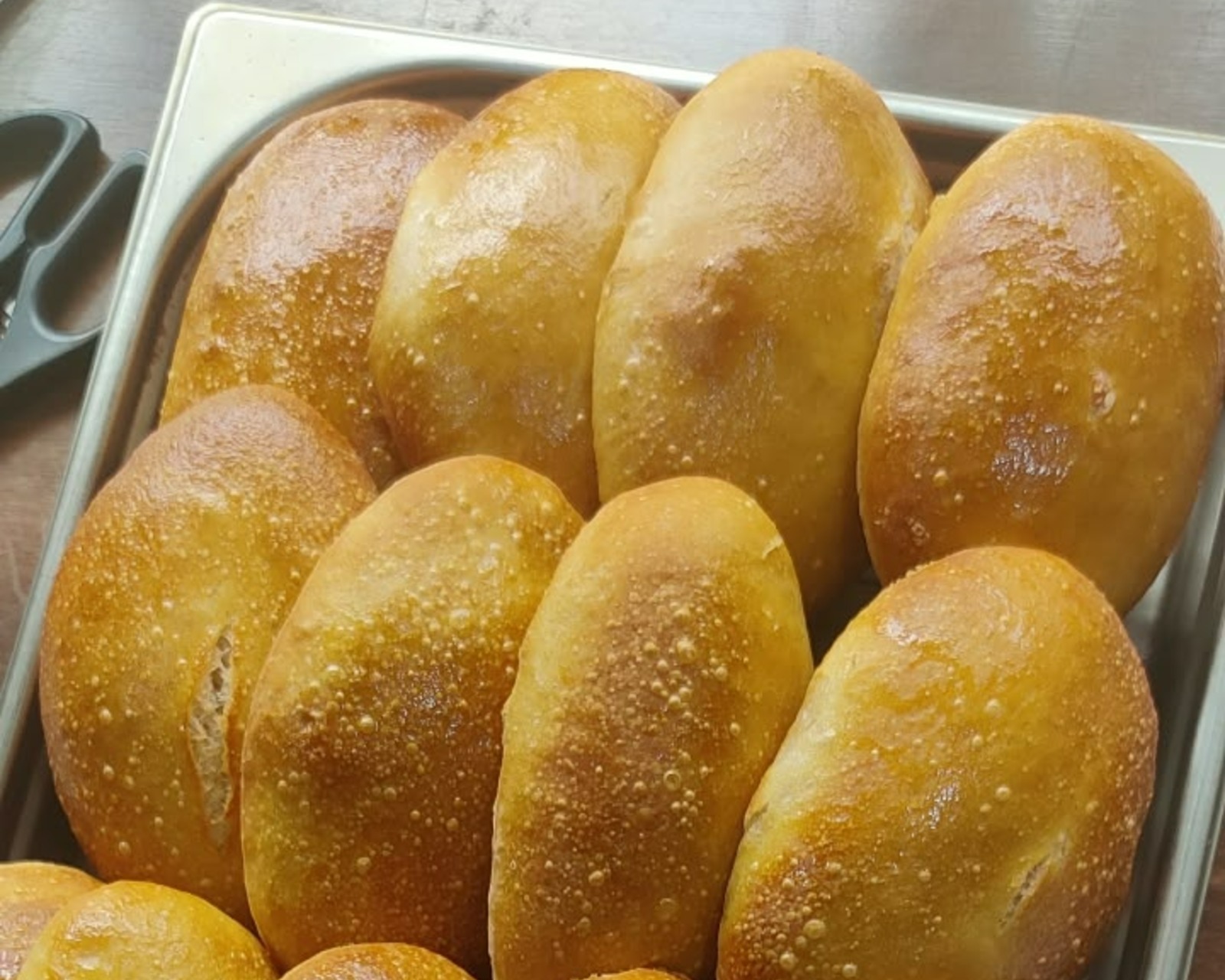 Panini Sandwich Bread - product view 2
