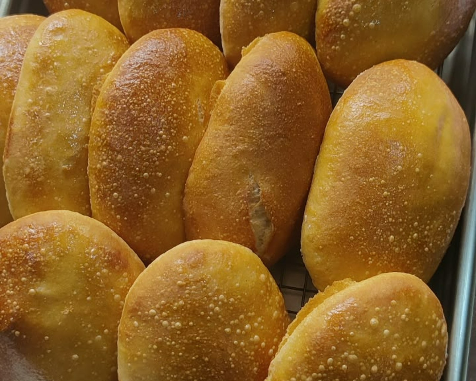 Panini Sandwich Bread - product view 3