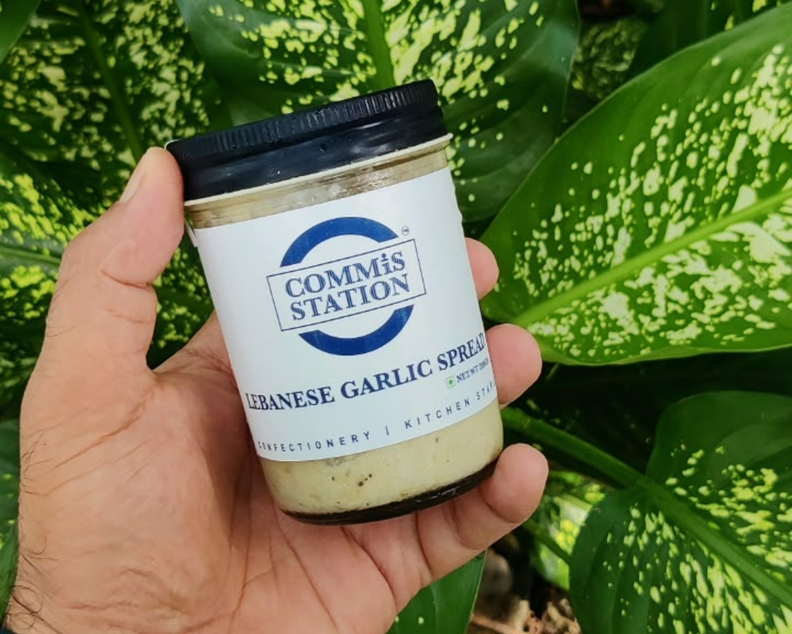 Lebanese Garlic Spread - product view 2